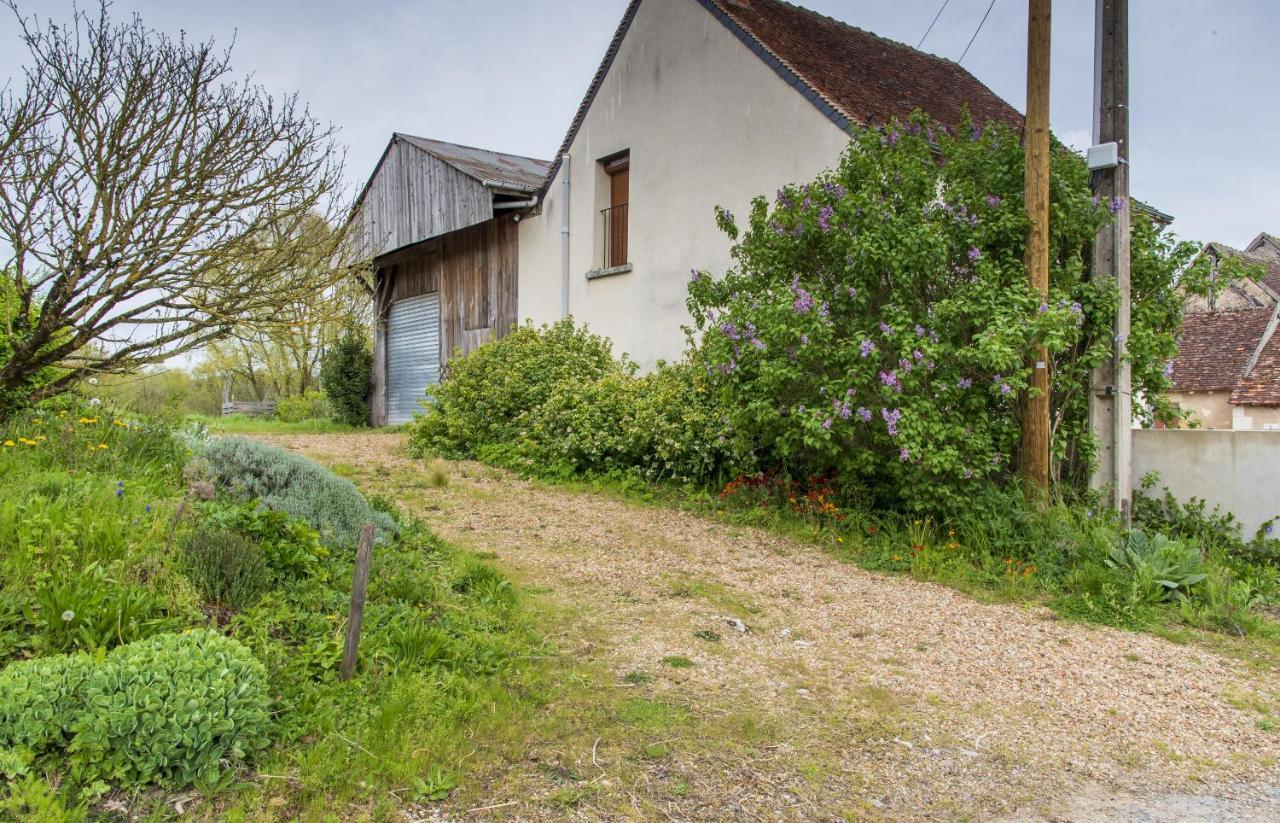 Le Beverly A 9 Min De Beauval Châteauvieux Exterior foto
